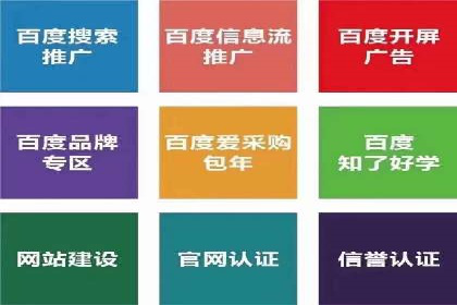 百度视频广告投放技巧：案例分享成功经验